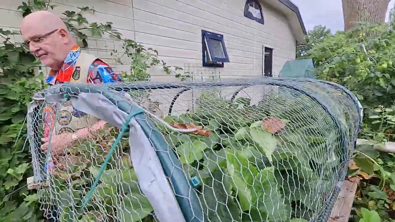 Markiesje Layla verkent tuin bij Wijchens vakantiehuis
