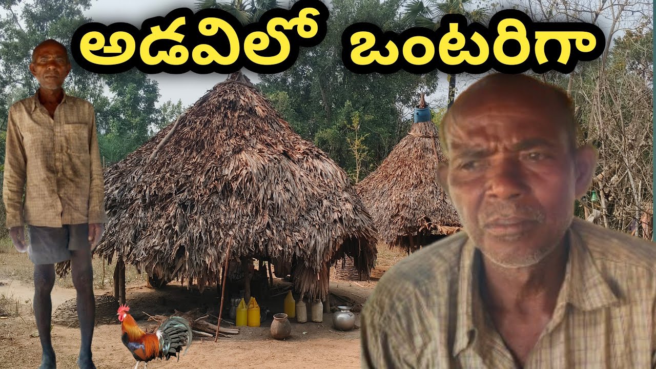 అడవిలో ఒక పెద్దాయన || men lives alone in forest 
