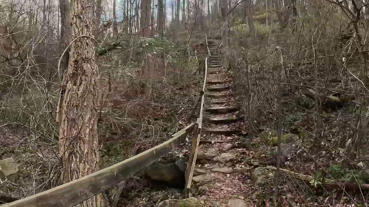 Mountains to Sea Trail: Folk Art Center to US   74