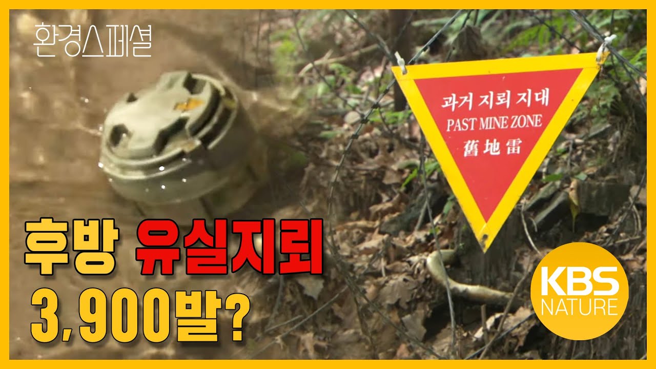 한국 지뢰제거에 489년! 환경스페셜 &lsquo;끝나지 않은 전쟁, 지뢰&rsquo; / KBS 20100915 방송