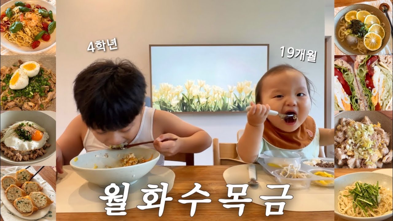 5일의 식단, 10분이내로 만드는 등교전 아침밥, 12가지 한그릇요리, 첫째 친구들이 유튜버를 만났을때 반응🫢