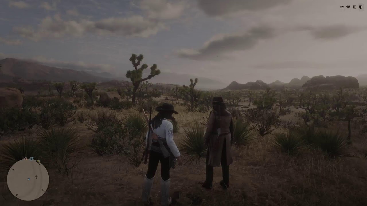 Red Dead Redemption 2 Online.With toasty.