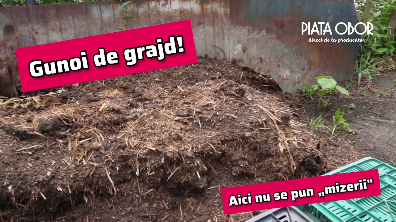 Acasă la producători ep.4 FULL - Reportaj Piața Obor București, Stoian Ion, Gostinari, Giurgiu