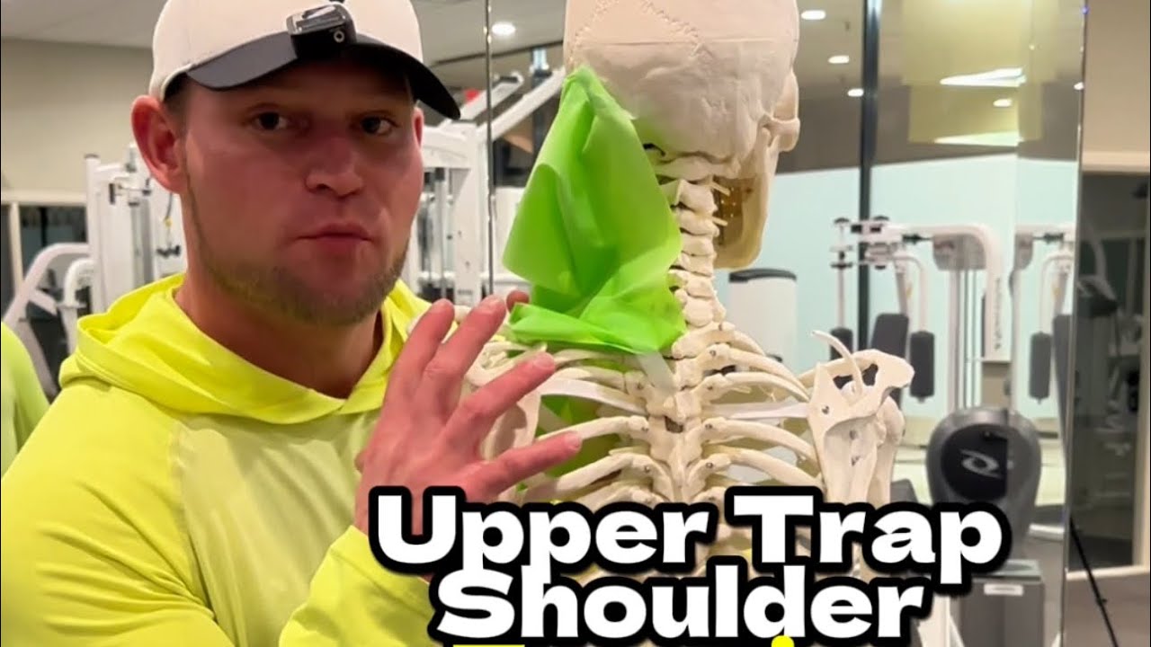 Upper Trap and Shoulder Function