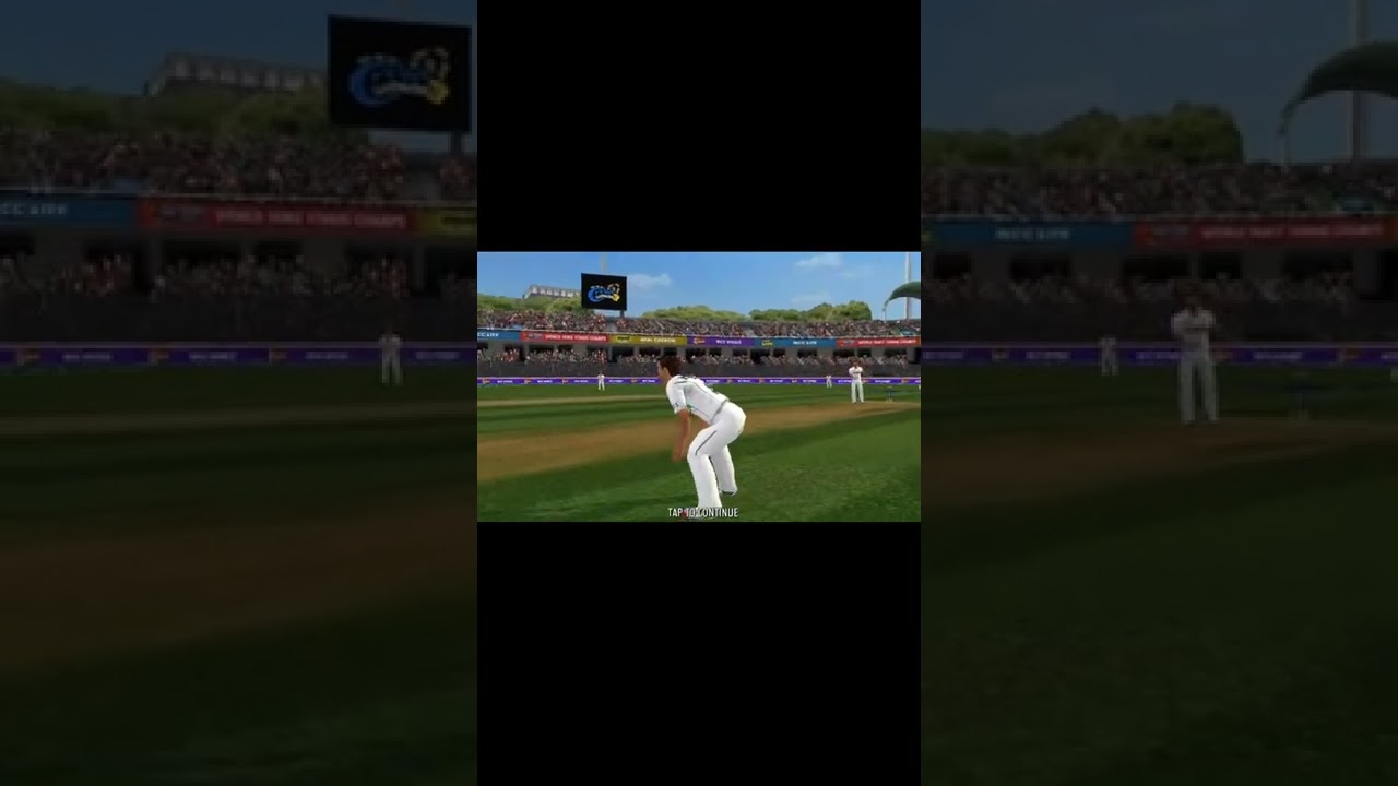Cricket Gameplay 