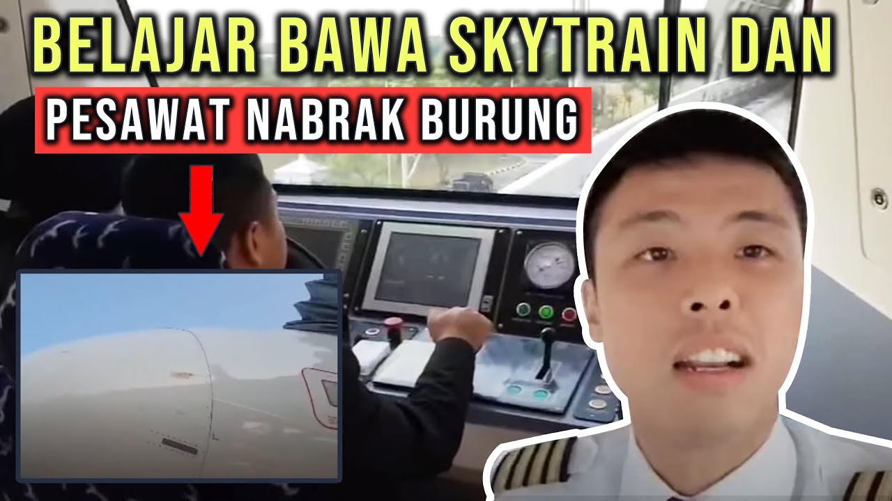PILOT DIARY VLOG - BELAJAR BAWA SKYTRAIN DAN PESAWAT NABRAK BURUNG
