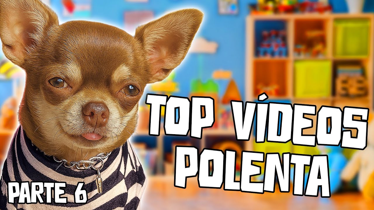 OS MELHORES MOMENTOS DA POLENTA - PARTE 6