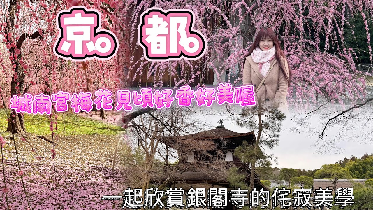 《VVN愛旅行》京都獨旅快閃3天兩夜怎麼玩！城南宮梅花見頃漂亮的像仙境、銀閣寺侘寂美學現場看到超震撼美❤️❤️❤️💯