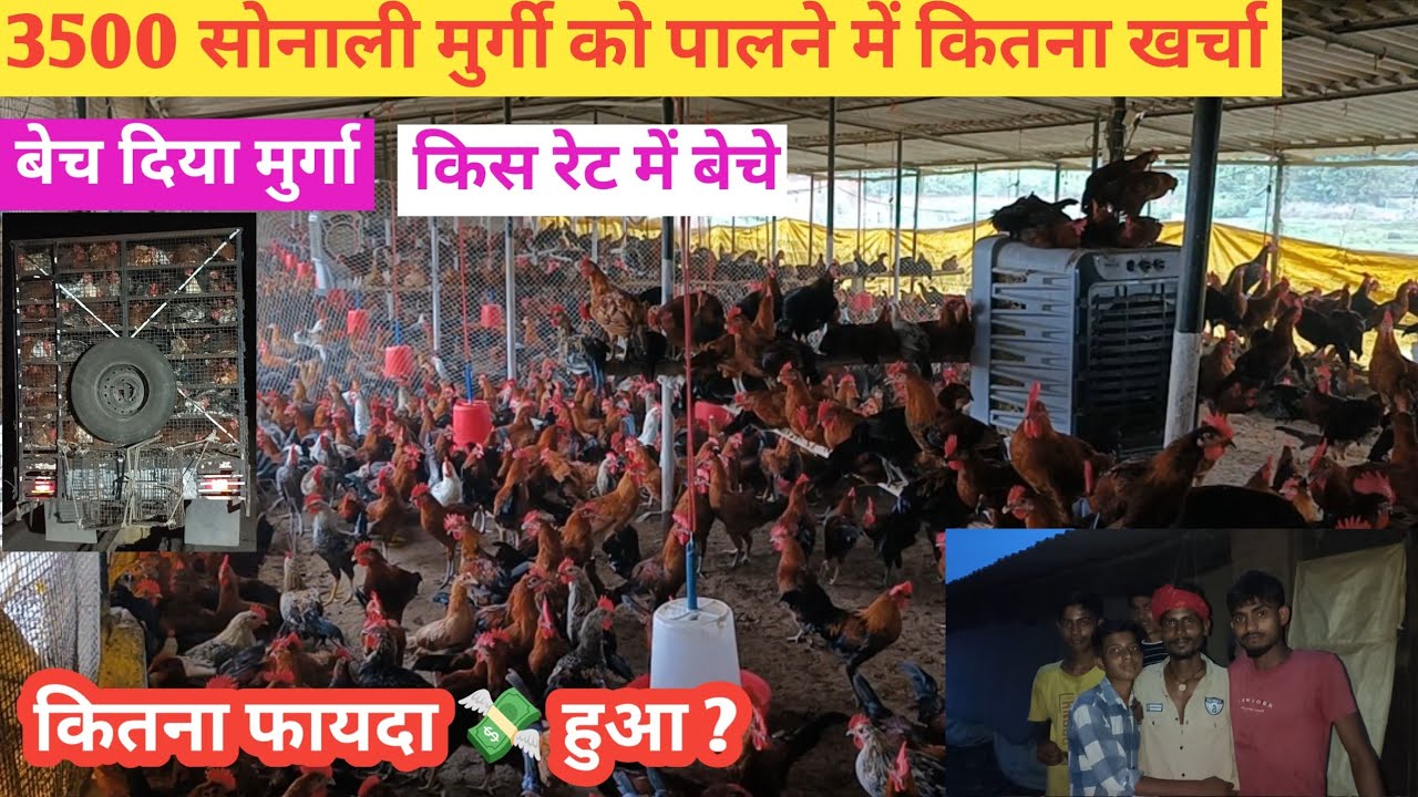 सोनाली मुर्गा 🐓 पूरा बेच दिए , किस रेट में सेल किए , कितना प्रॉफिट 💸 हुआ ? 