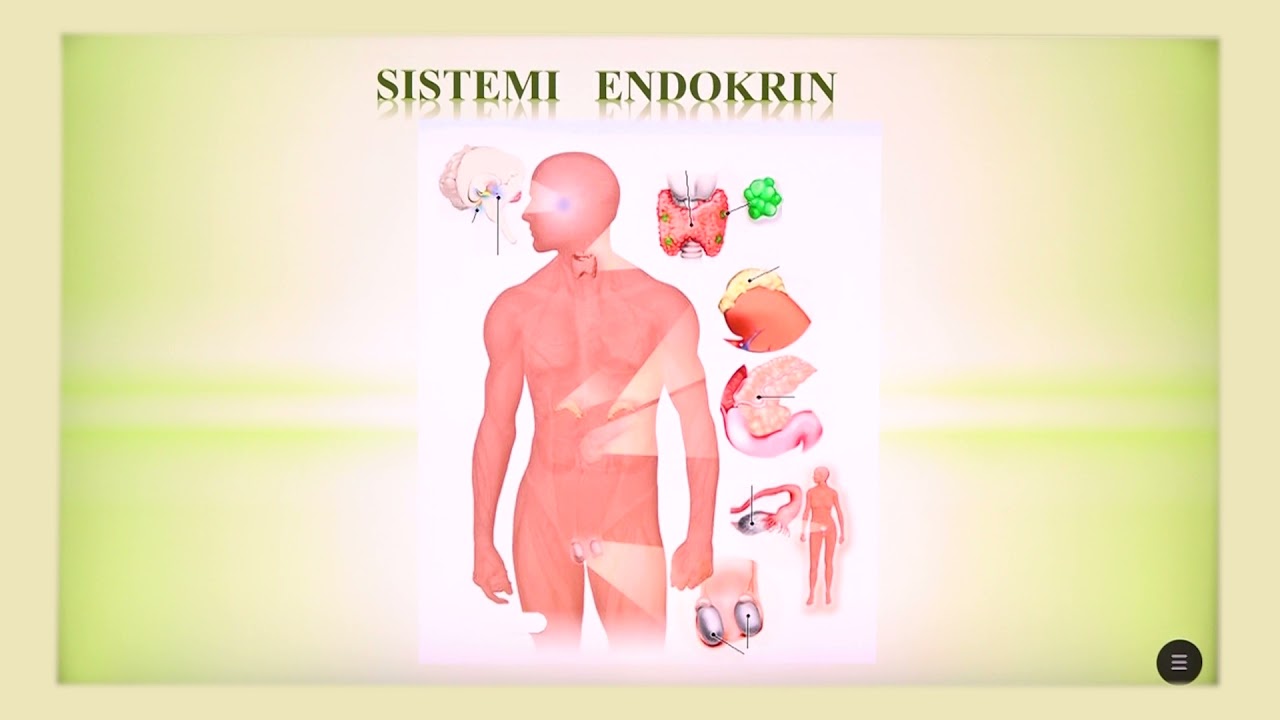 8 06 045 - Java 23 - Biologji - Sistemi endokrin