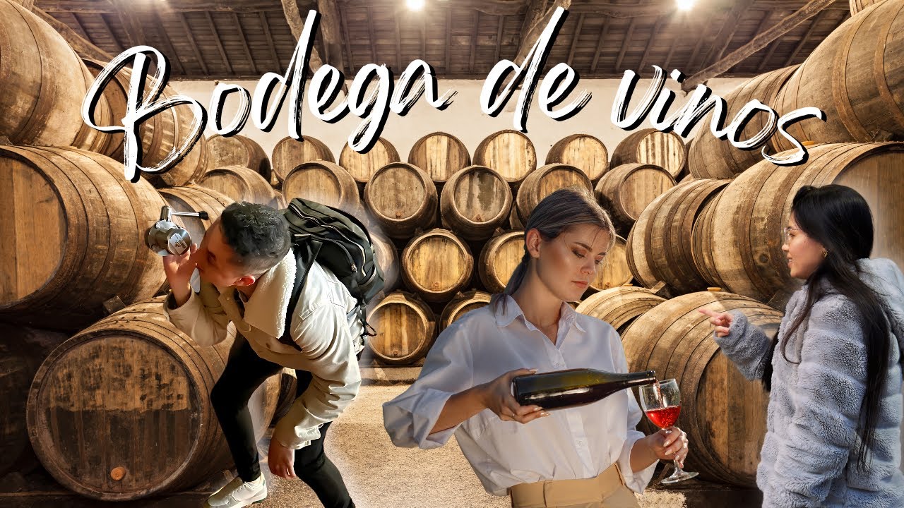 Visita a BODEGA de VINOS Porto 🍷🍇| Maik y Cami
