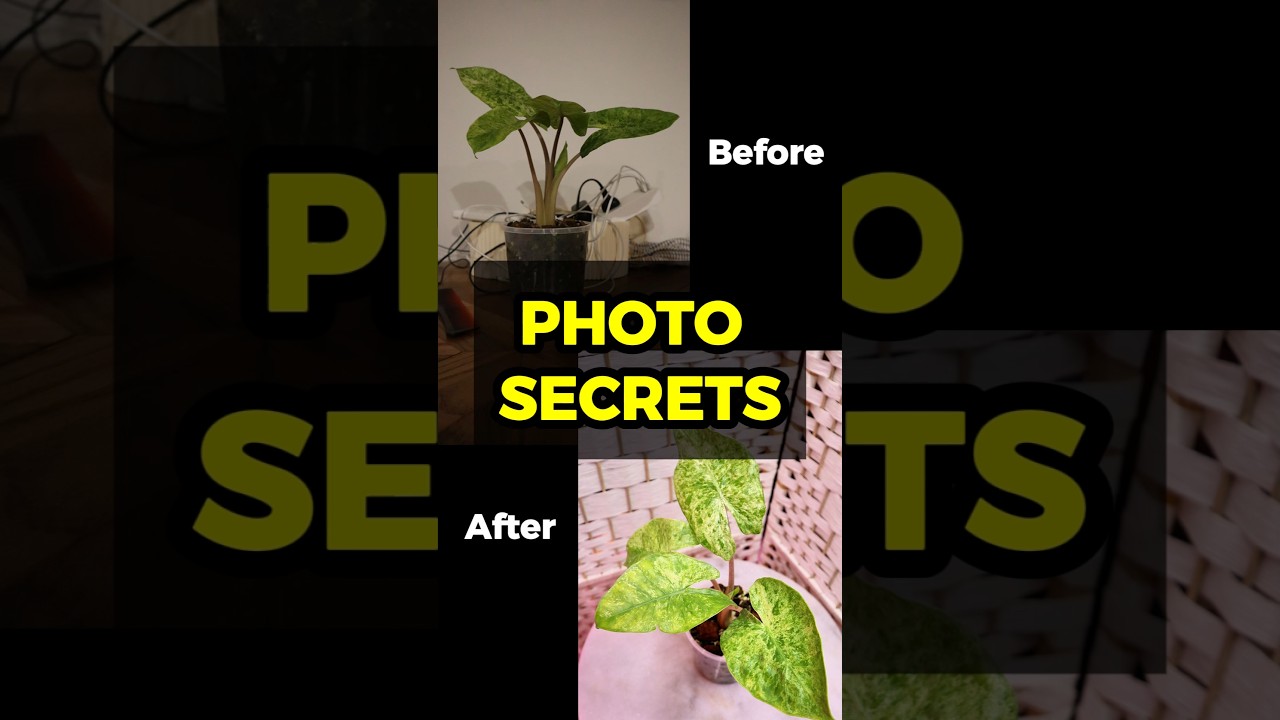 Your Plant Photos are Killing Your Sales. Here's How to Fix It.