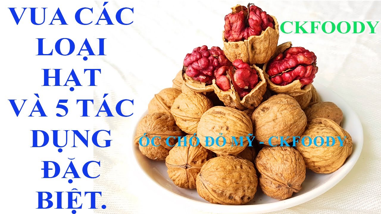 5 T&Aacute;C DỤNG ĐẶC BIỆT KHIẾN QUẢ &Oacute;C CH&Oacute; ĐƯỢC V&Iacute; L&Agrave; VUA C&Aacute;C LOẠI HẠT..(Ckfoody)