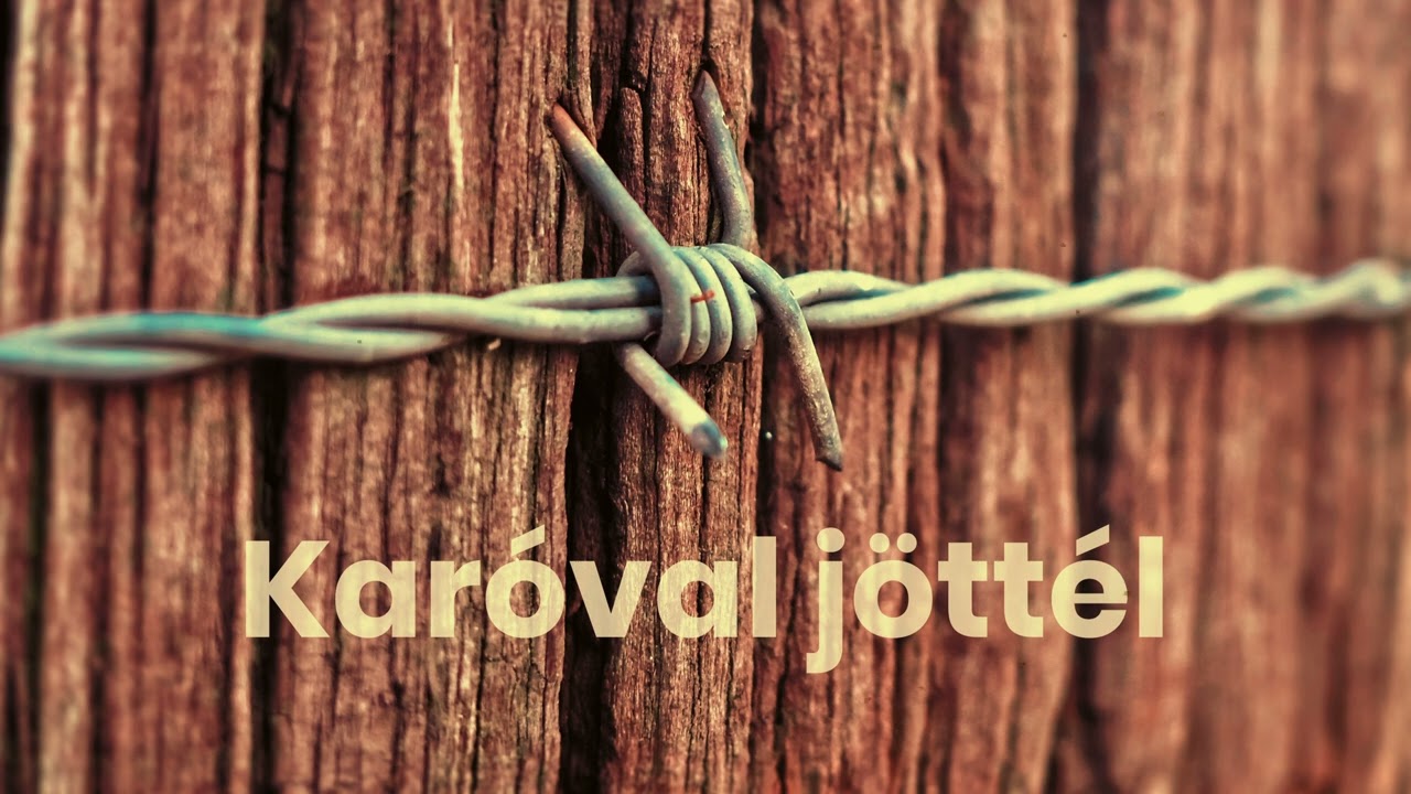 József Attila - Karóval jöttél - Előadja: Bodrogi Gyula