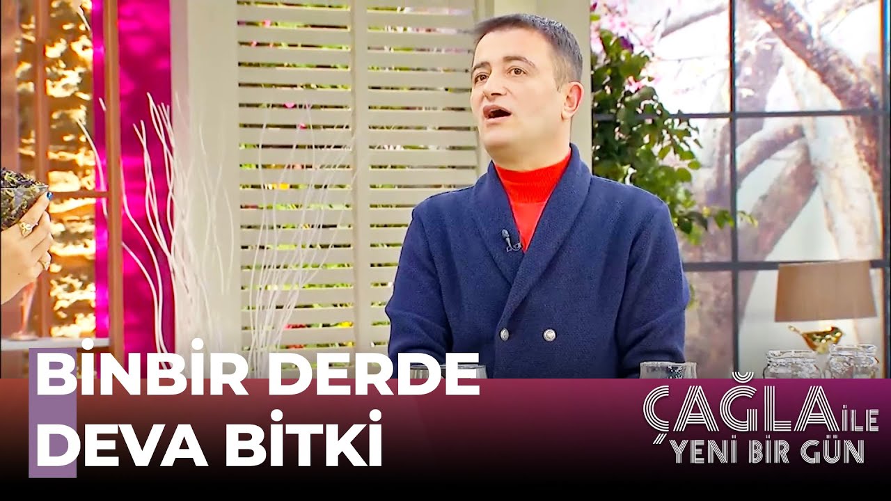 Mavi Kelebek Çayının Faydaları - Çağla İle Yeni Bir Gün 548. Bölüm