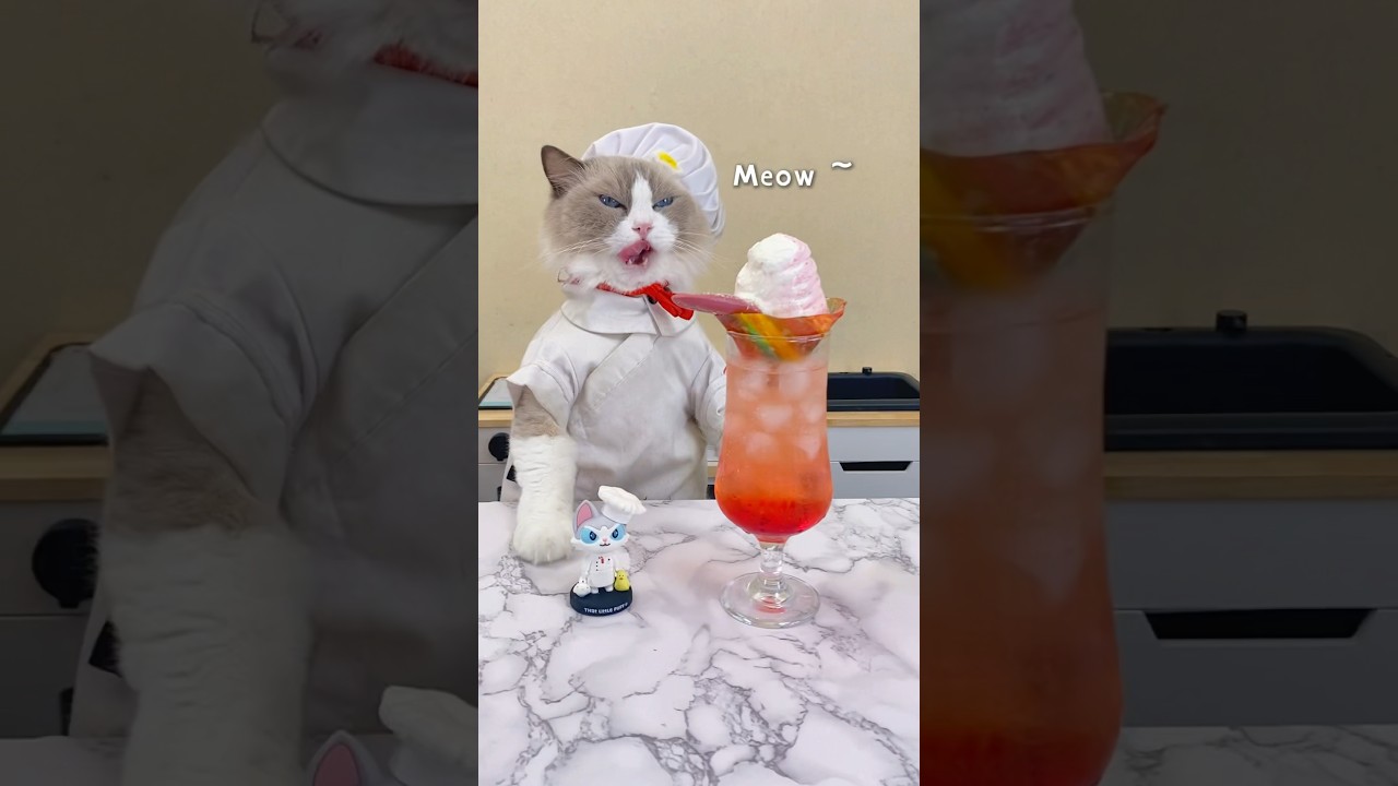 🍹✨ Puff's back whipping up his whimsical drinks! What magic will he mix today? 