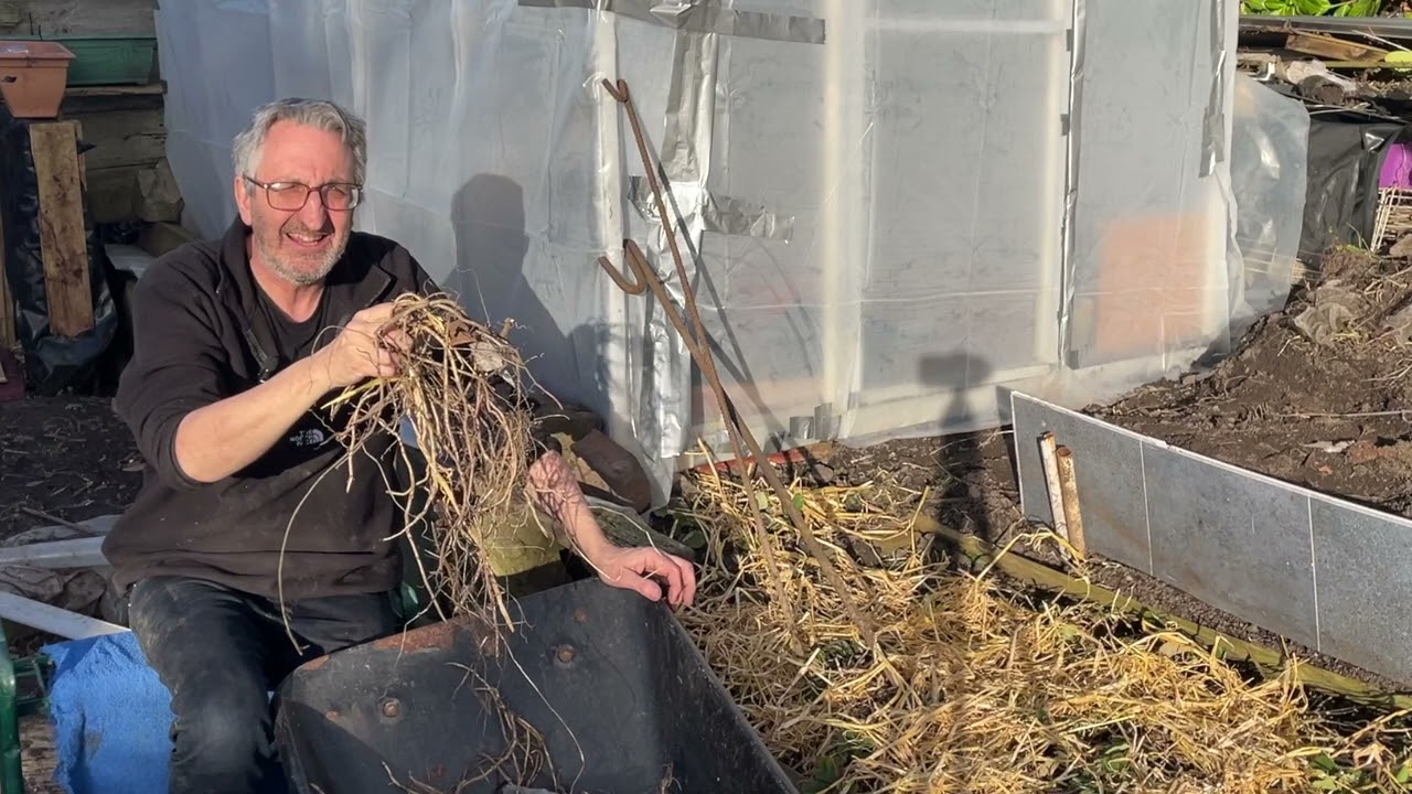 A Bindweed Special