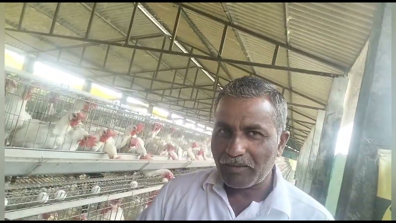 ಹತ್ತು ಸಾವಿರ ಮೊಟ್ಟೆ ಕೋಳಿ ಸಾಕಿ ಇಪ್ಪತ್ತು ಲಕ್ಷ ಆದಾಯ ಪಡೆಯುವ ಹಂದಿಗುಂದ ಗ್ರಾಮದ ಮುತ್ತಪ್ಪ ಉಳ್ಳಾಗಡ್ಡಿ9108224725