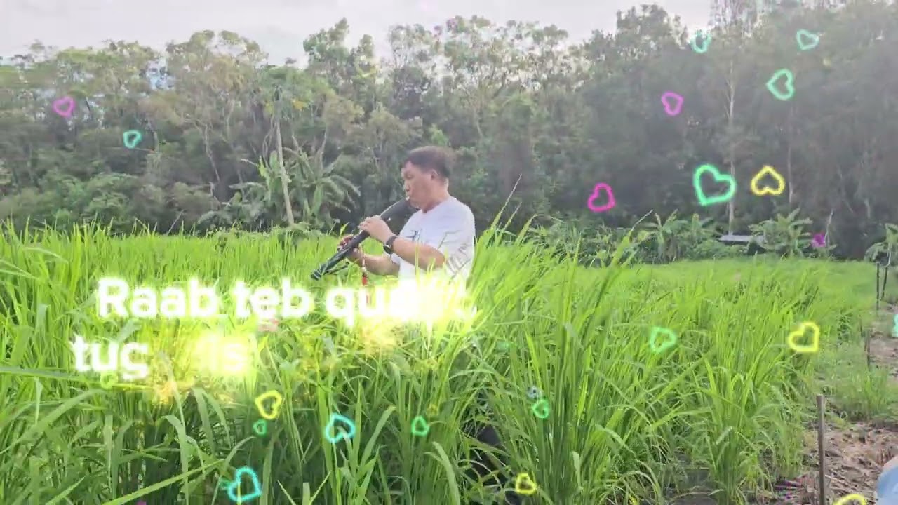 Suab Raaj Tsis muaj Viv Tsis muaj Ncaug.