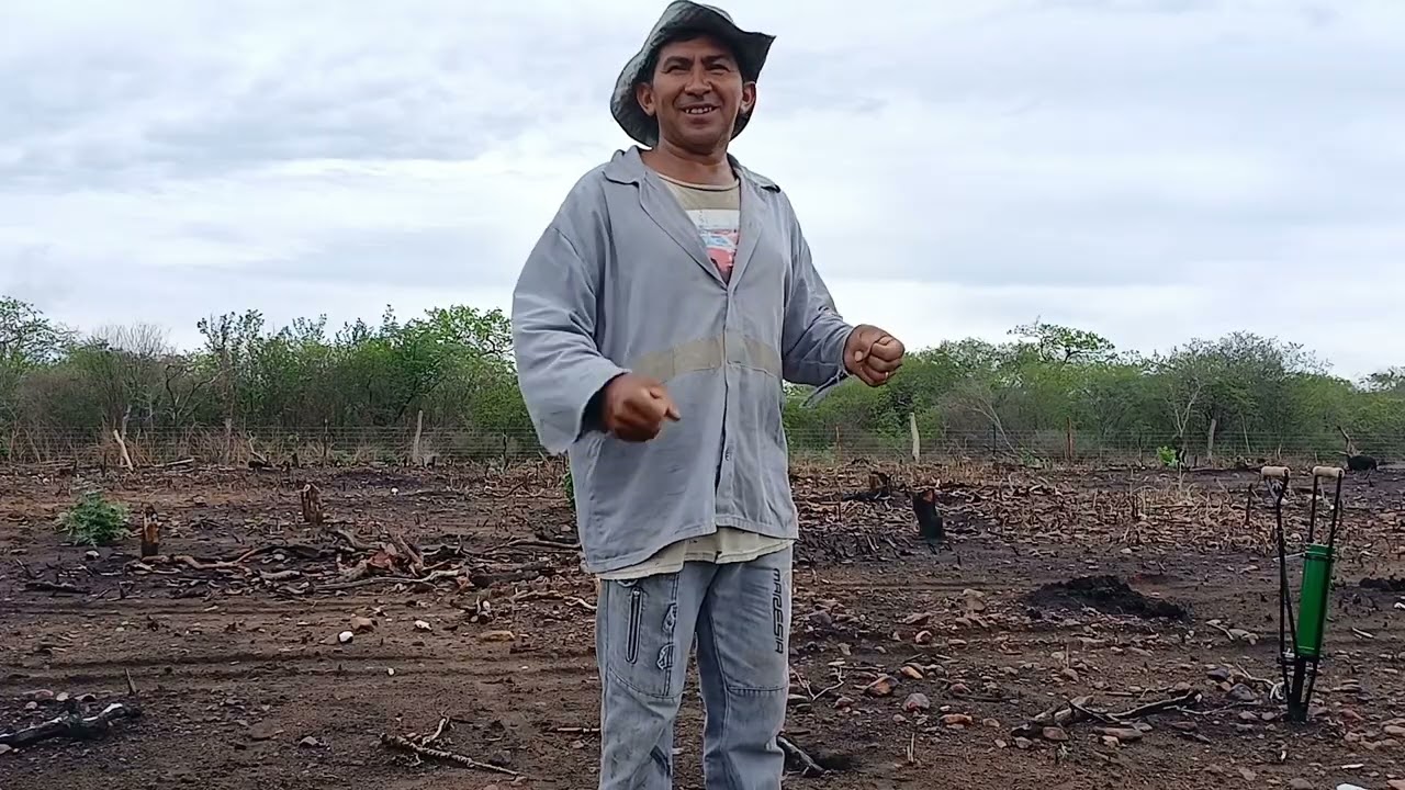 Vamos pra roça estrear a máquina de plantar, uma parte já nasceu ,depois almoço debaixo do umbuseiro