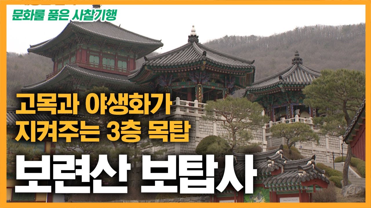 고목과 야생화가 지켜주는 3층 목탑 보탑사 [문화를품은사찰기행]
