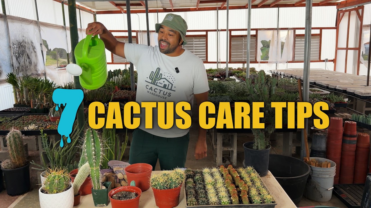 These 7 Common Mistakes Are Killing Your Cactus