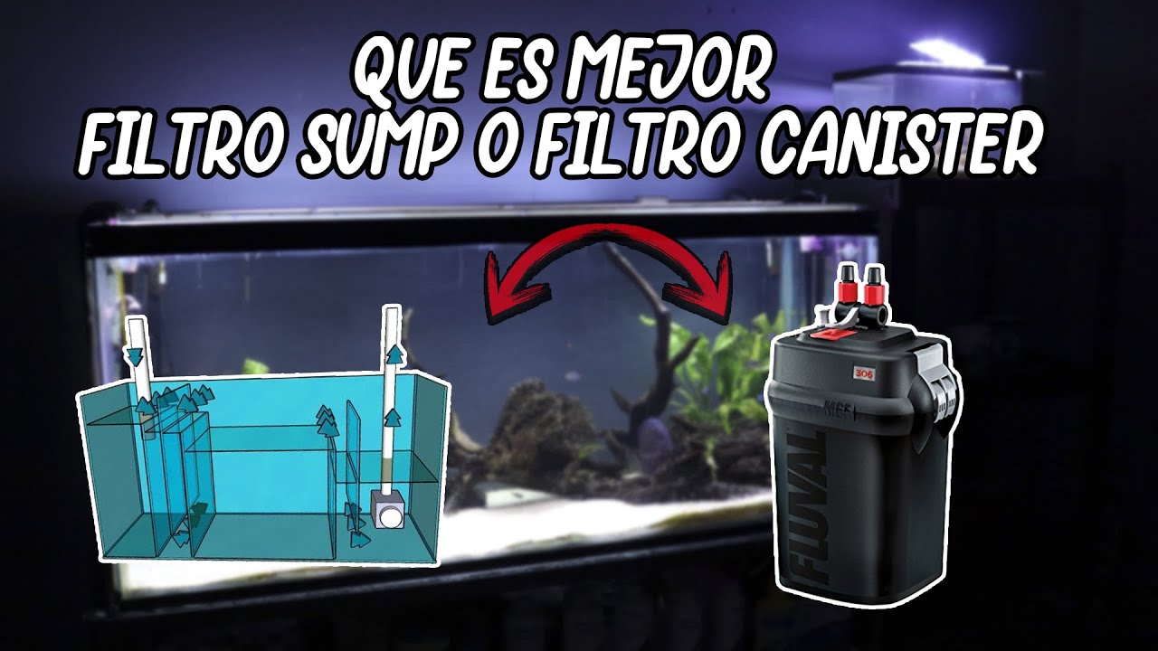 ¿QUÉ es MEJOR un FILTRO SUMP o UN FILTRO CANISTER? | AcuariosLP