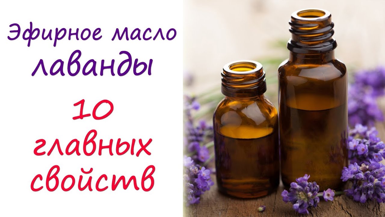 Масло лаванды: 10 главных свойств