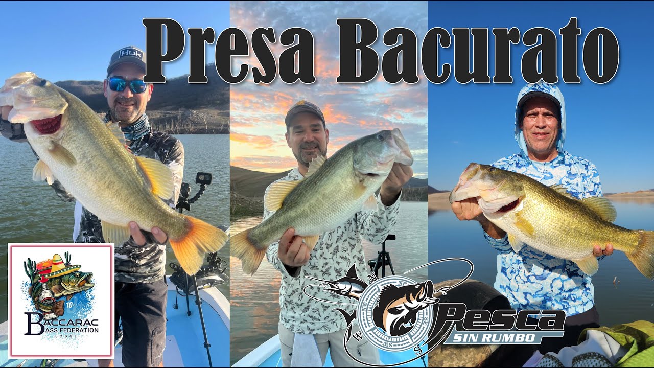 Una Mañana de Pesca en Bacurato