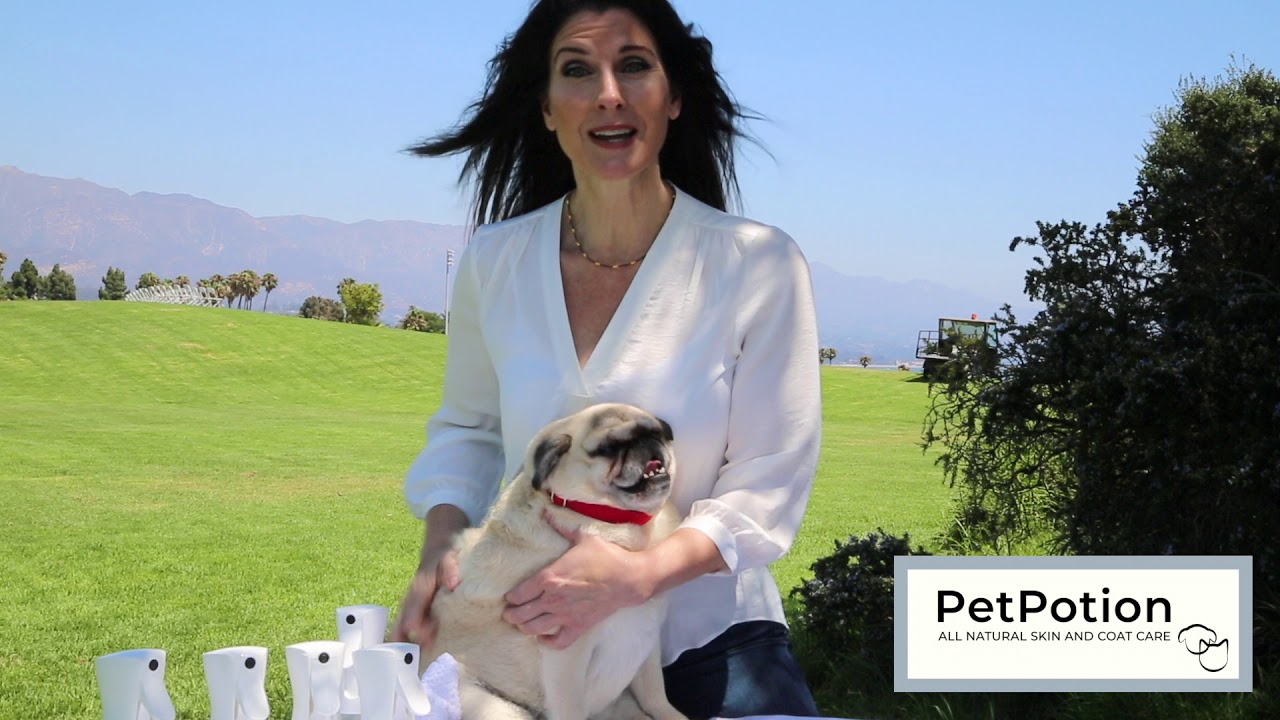Pet Potion How To 1