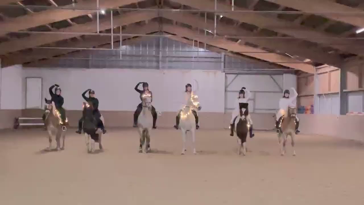 SIEGER 🥇 SHETTYFARM 🐴 der NOEPS Weihnachtsreiten Challenge 2022 by EQUIVA ✨🎉