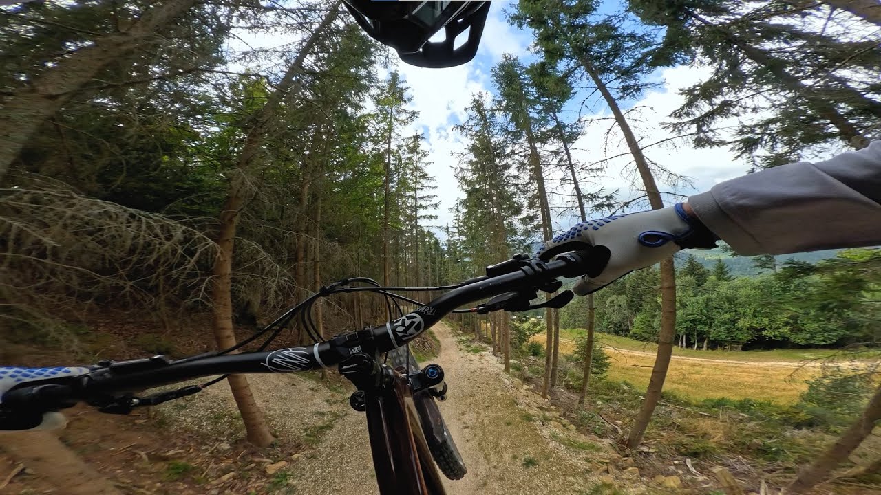 Trail Park Dolni Morava - Downhill trail (black) - 25.08.2024