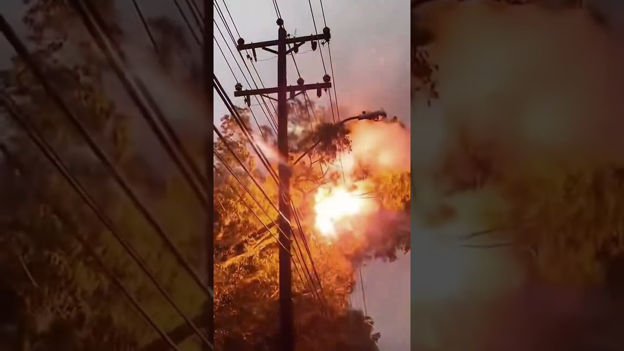 Lightning strikes down trees#weather #lightning #trees #extremeweather #oddlysatisfying