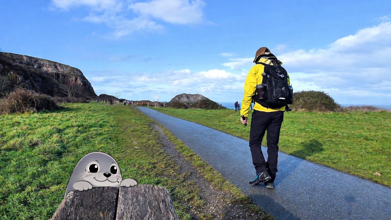  Little adventure around Angel bay North wales🦭🏴󠁧󠁢󠁷󠁬󠁳󠁿