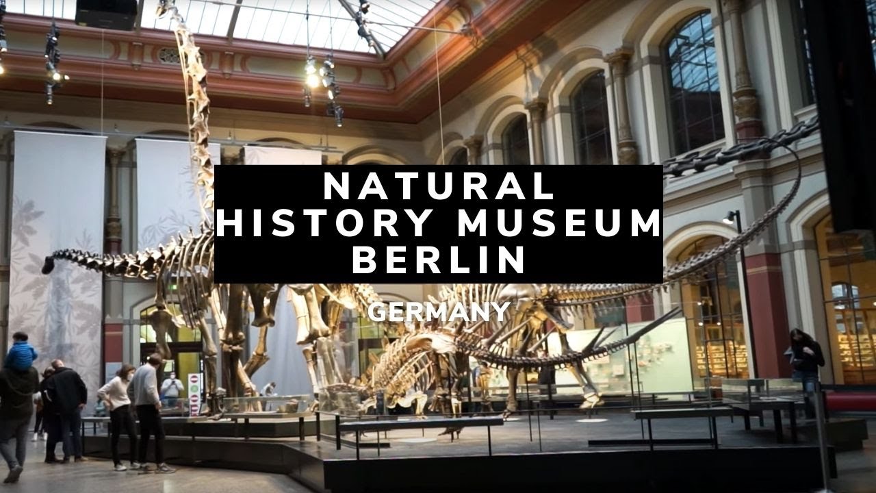 Natural History Museum Berlin | Berlin | Germany | Museum für Naturkunde | Things to Do Berlin