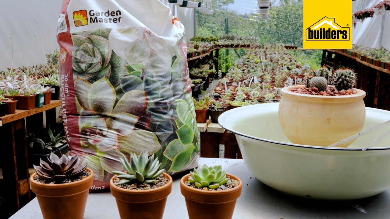 Tanya Visser Shows You The Garden Master: Succulent Mix
