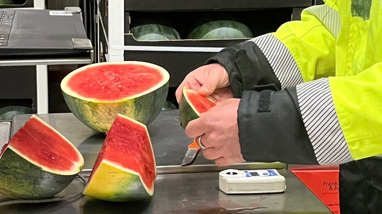 De Keurmeester van de Toekomst