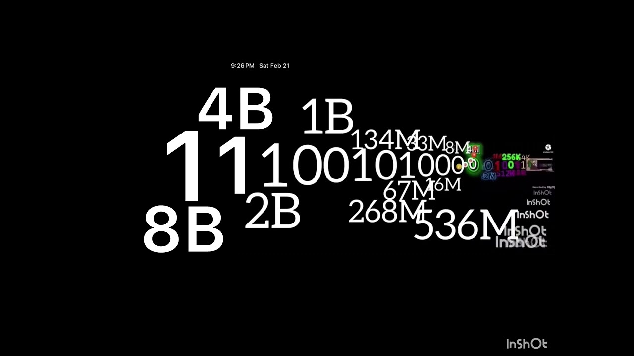Binary Numbers Extended ^ 4