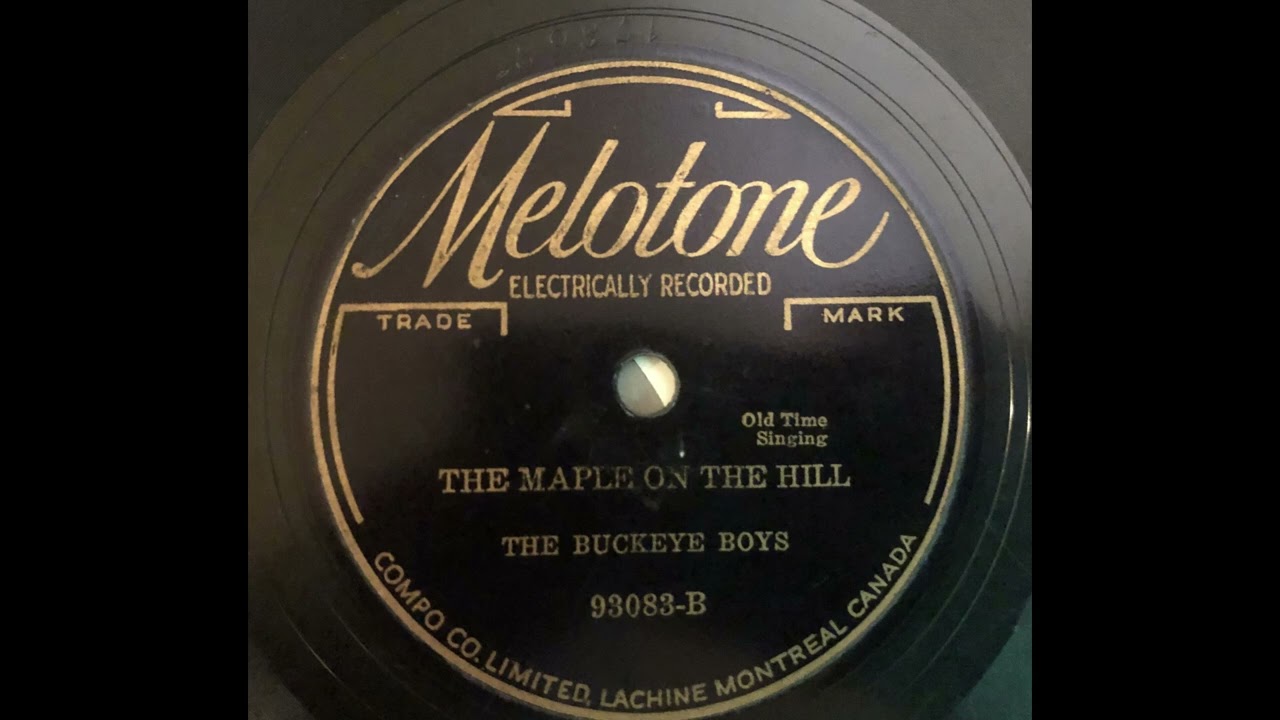 The Maple On The Hill - The Buckeye Boys
