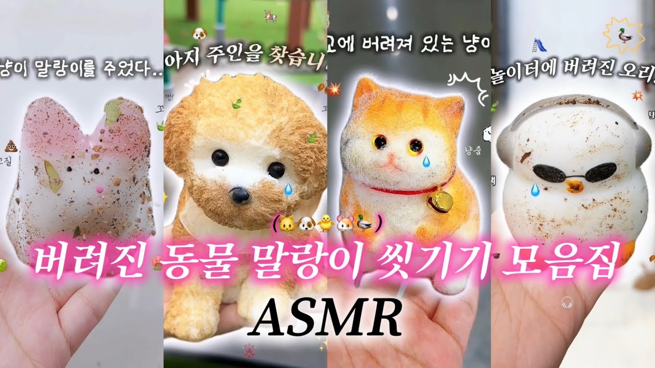버려진 동물 말랑이 씻겨주기 ASMR 모음집💦 말랑이 상황극ㅣ말랑이 모음집ㅣ상황극 모음집ㅣ고양이ㅣ강아지ㅣ오리ㅣ햄스터ㅣ병아리