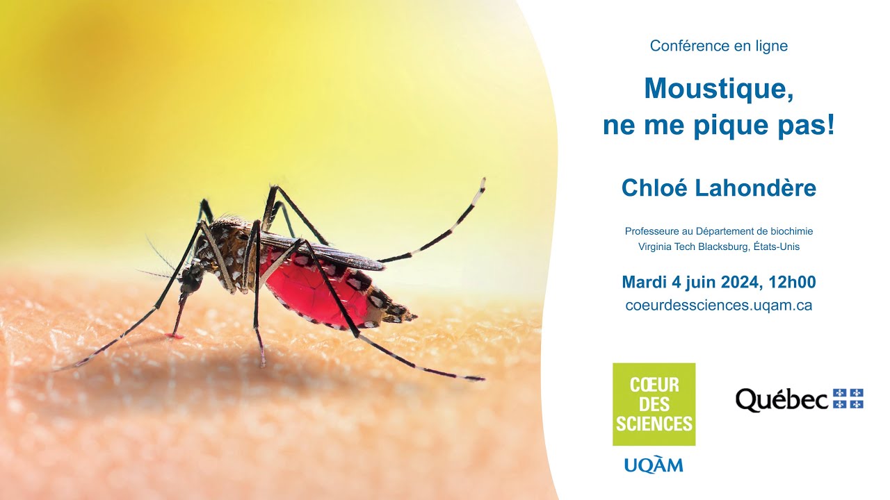 Moustiques, ne me pique pas! - Mardi 4 juin 2024, 12h