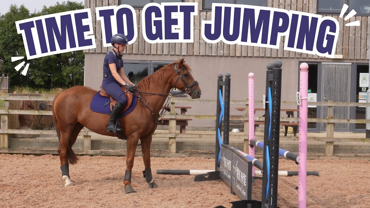 FORGOTTEN HOW TO JUMP?! Tack Up & Ride With Me