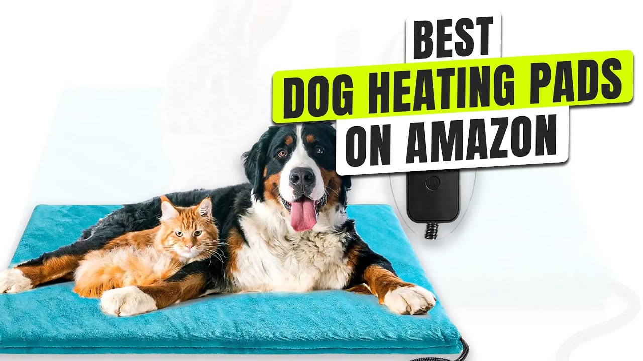 3 BEST Dog Heating Pads on Amazon