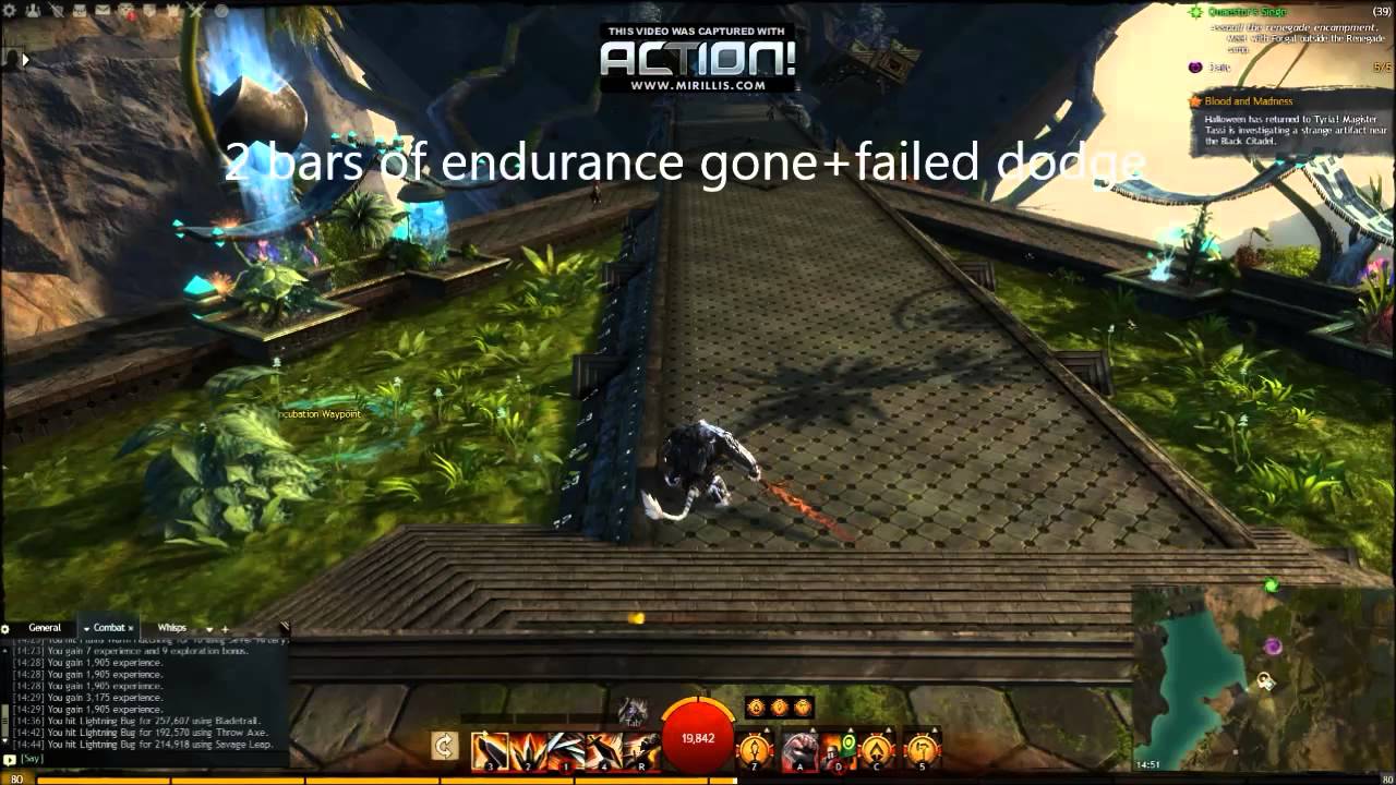 GW2 dodge and endurance bug