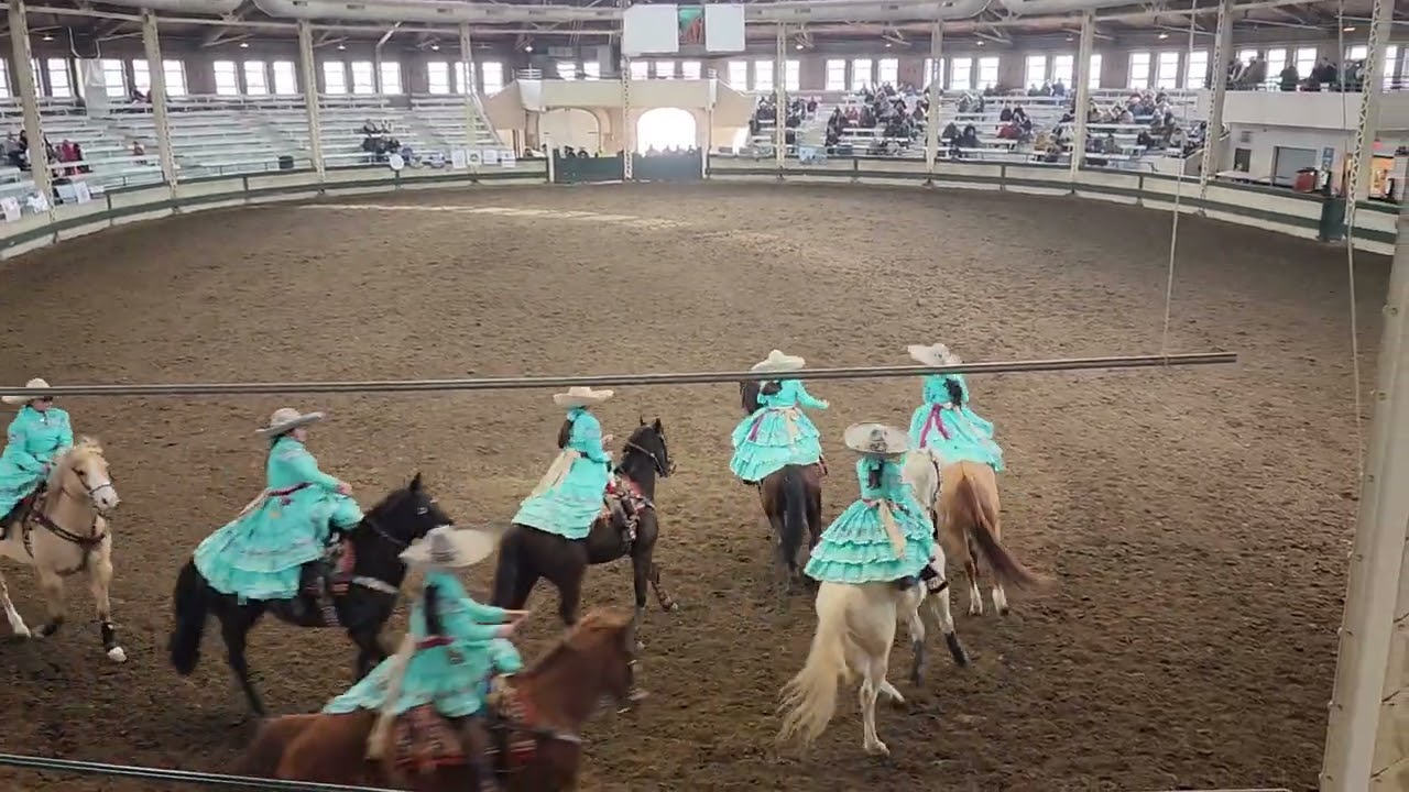 2023 Horse Fair Drill Team Competition- 2nd Place - Escaramuza Flor De Alcatraz
