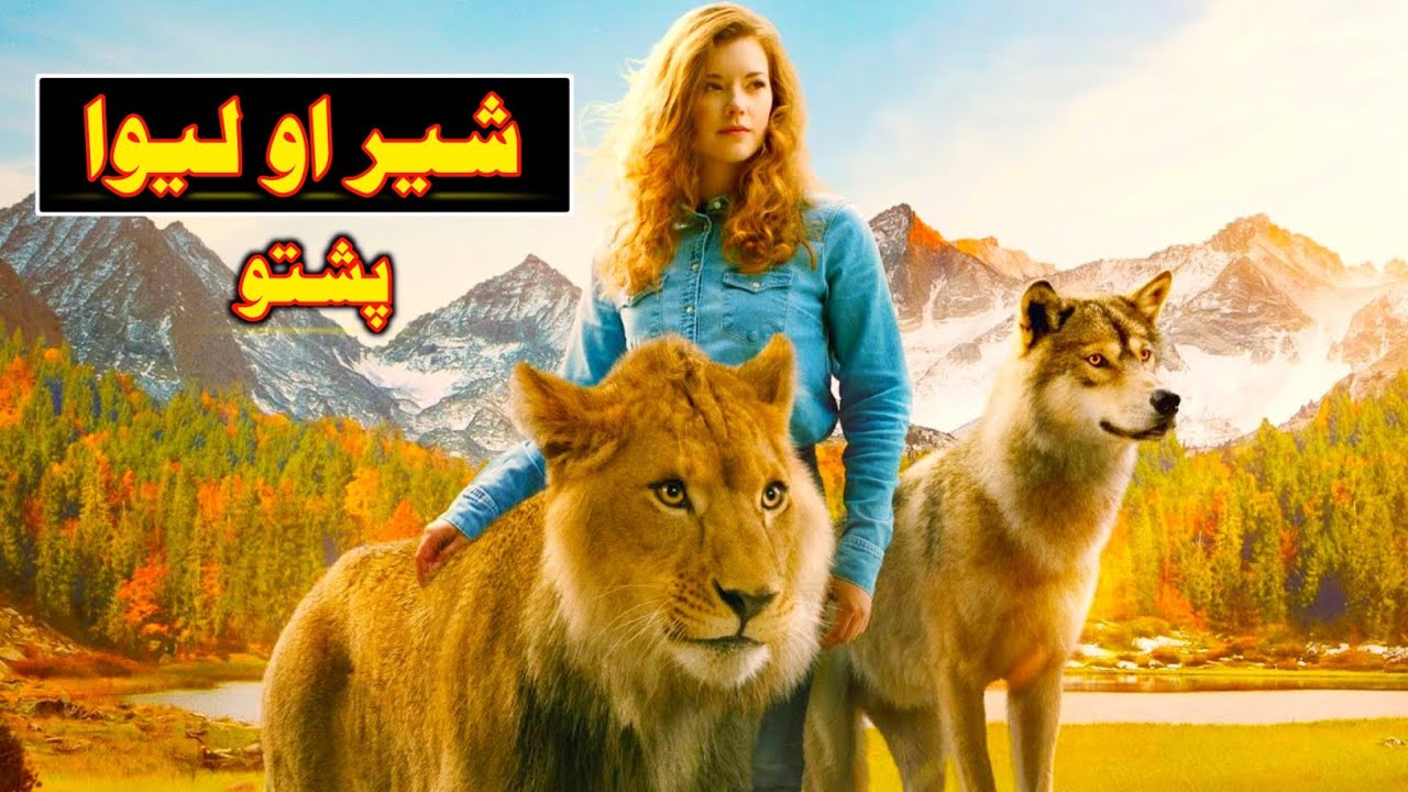 Sheer Aw Leewa / Pashto / Explained By Filmiya Pashto.