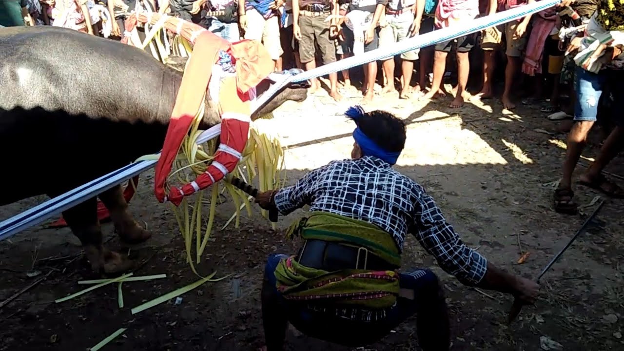 Budaya Sumba - NTT // Keduk44n Loli Atas