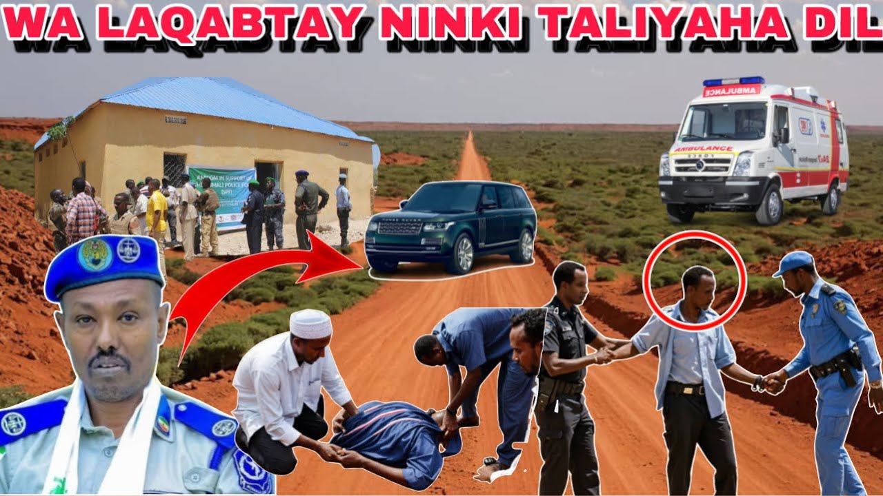 TOOREY AYA NAFTA LOGA QADAY TALIYAHA SOMALILAND SALDHIGA MAXAMED MOOGE DAWO XOGTA UDAMBEYSAY