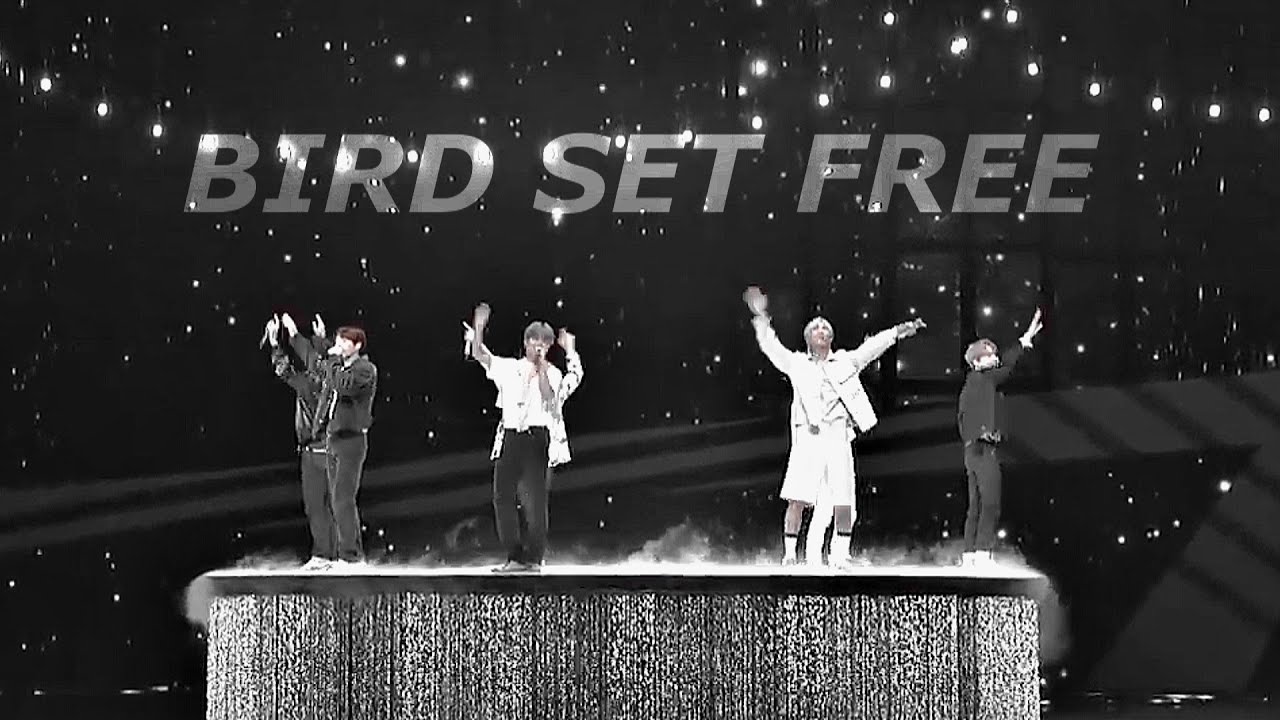 BTS - Bird Set Free