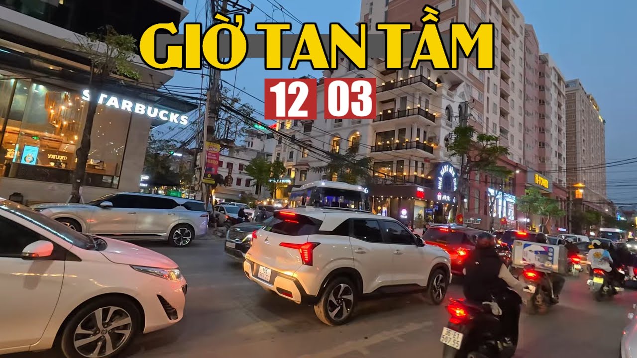 Nguyễn Bình - Văn Cao - Thiên Lôi - Hồ Sen (12.03.2026)